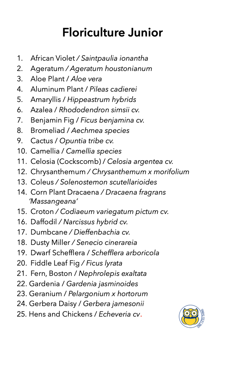 Load image into Gallery viewer, Floriculture ID Junior, IDPix Cards