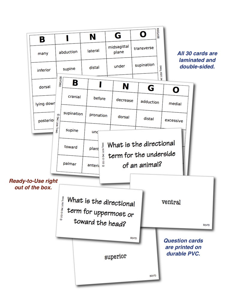 Load image into Gallery viewer, Vet Directional Terminology, Unit Set Download Only