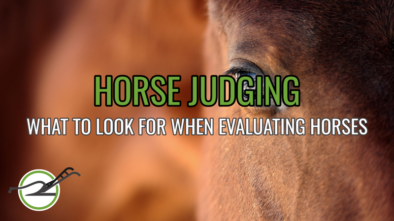 Load image into Gallery viewer, PLOW Two-Week Free Trial