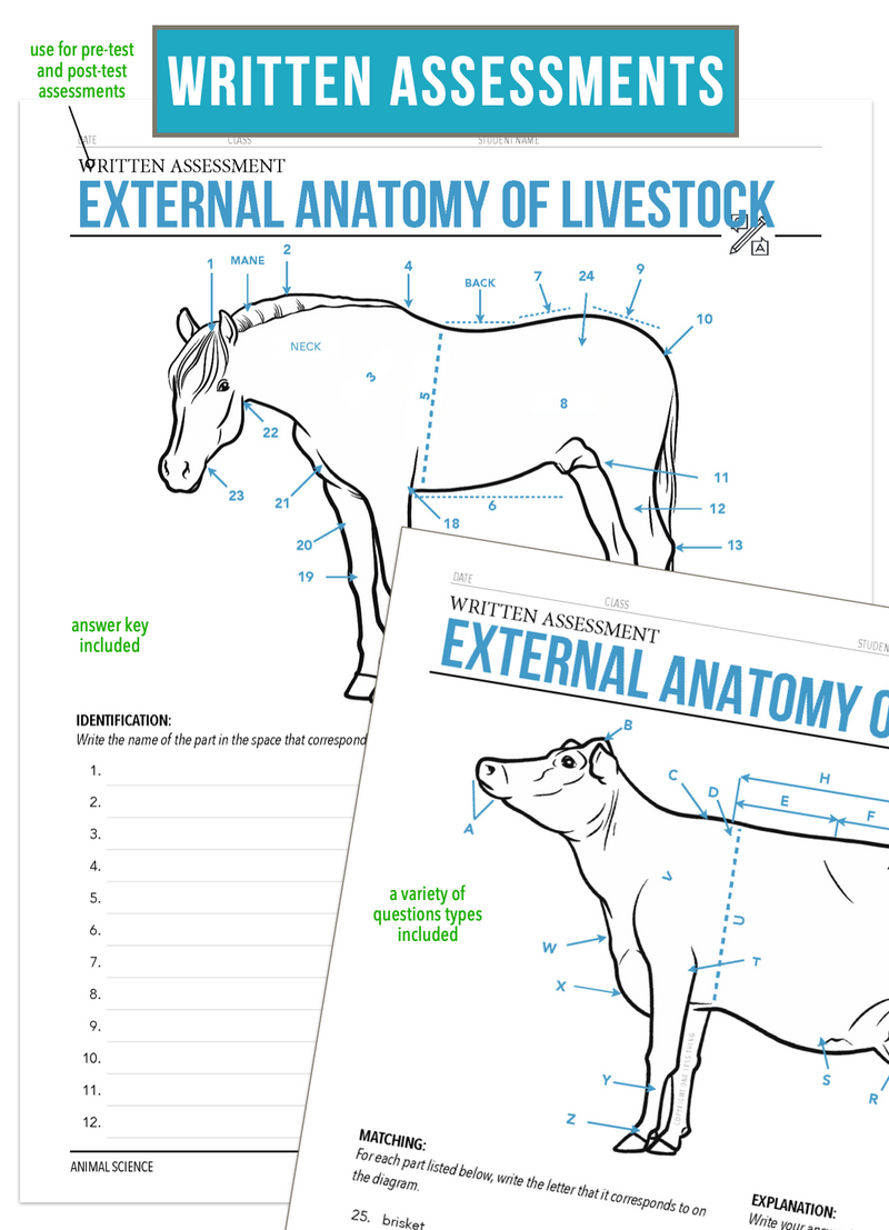 Load image into Gallery viewer, CCANS03.2 External Anatomy of Livestock, Animal Science Complete Curriculum