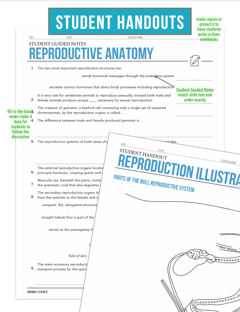 Load image into Gallery viewer, CCANS11.1 Reproductive Anatomy, Animal Science Complete Curriculum