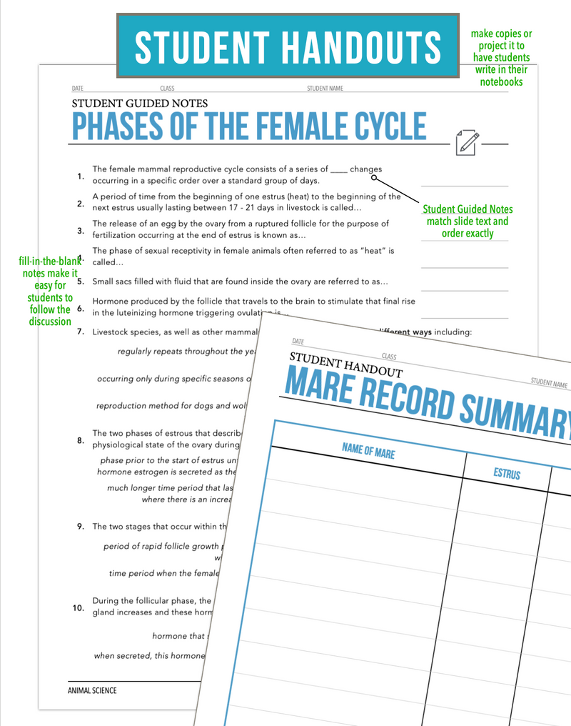 Load image into Gallery viewer, CCANS11.2 Phases of the Female Cycle, Animal Science Complete Curriculum
