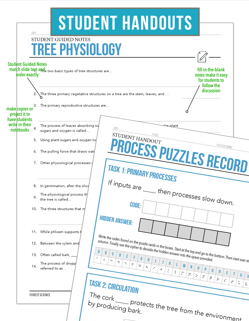 Load image into Gallery viewer, CCFOR03.1 Tree Physiology, Forestry Complete Curriculum