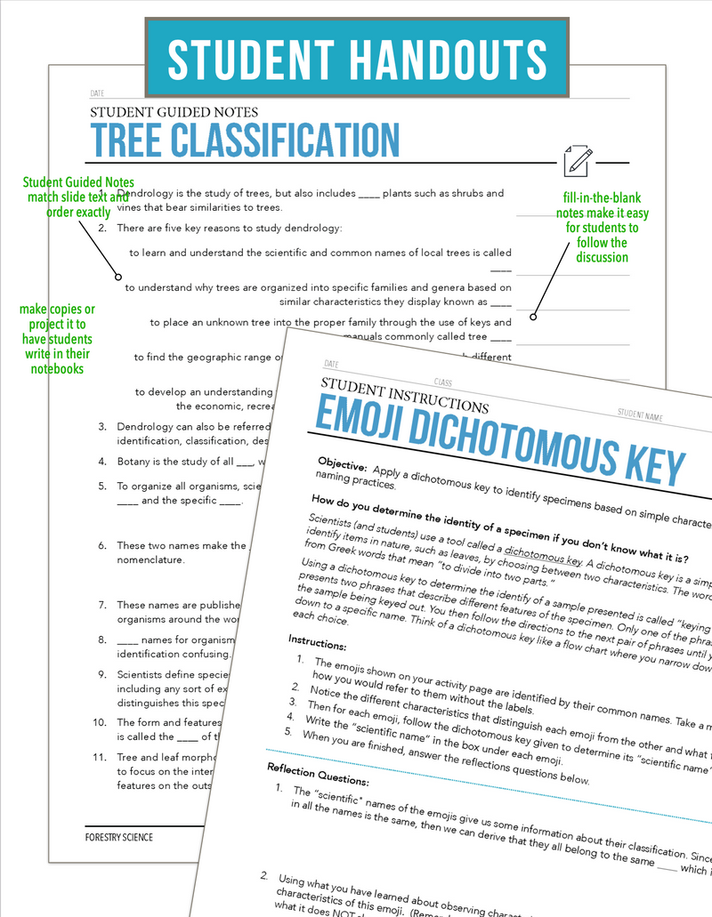 Load image into Gallery viewer, CCFOR03.3 Tree Classification, Forestry Complete Curriculum