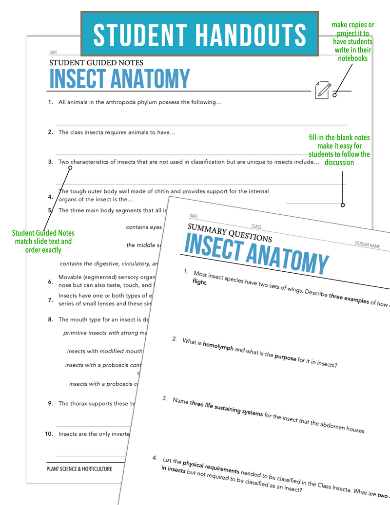 Load image into Gallery viewer, CCPLT10.1 Insect Anatomy, Plant Science Complete Curriculum