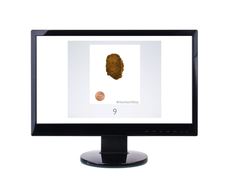 Load image into Gallery viewer, Further Processed Products, Poultry CDE Download