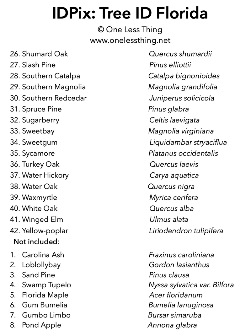 Load image into Gallery viewer, Florida Tree ID, IDPix Cards