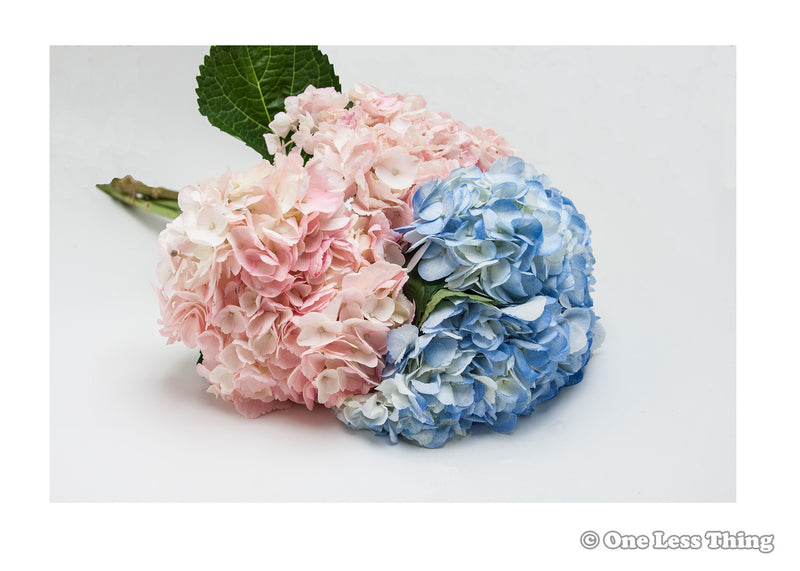 Load image into Gallery viewer, Floral Design ID Junior, IDPix Cards