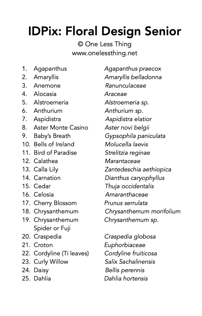Load image into Gallery viewer, Floral Design ID Senior, IDPix Cards