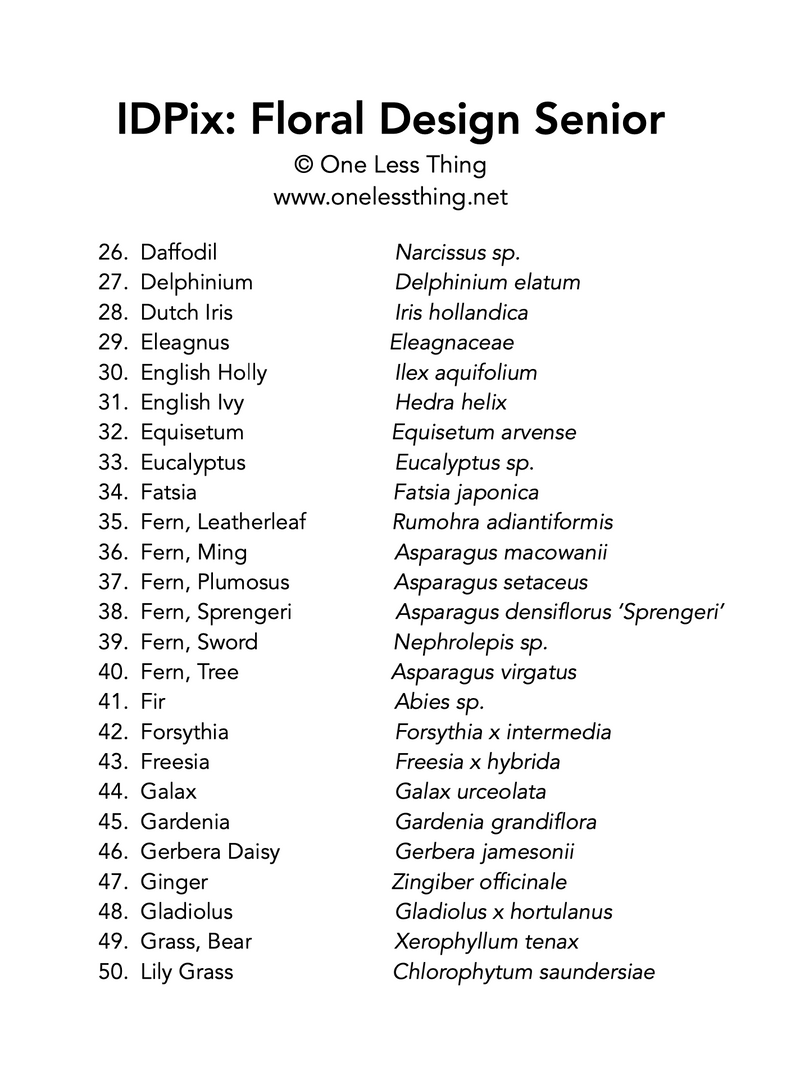 Load image into Gallery viewer, Floral Design ID Senior, IDPix Cards