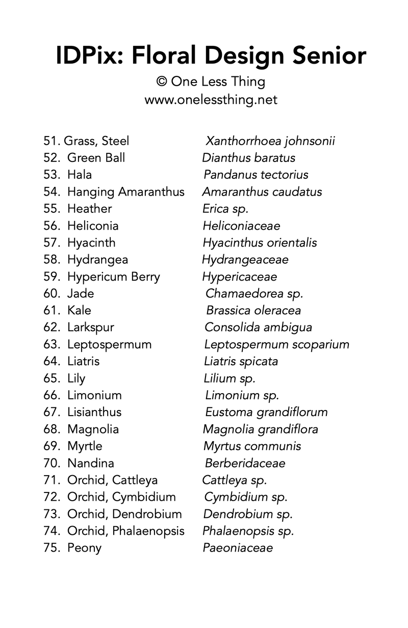 Load image into Gallery viewer, Floral Design ID Senior, IDPix Cards