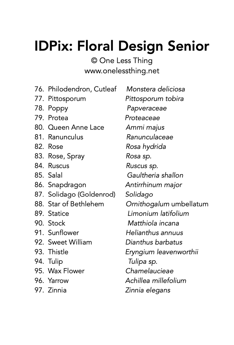 Load image into Gallery viewer, Floral Design ID Senior, IDPix Cards