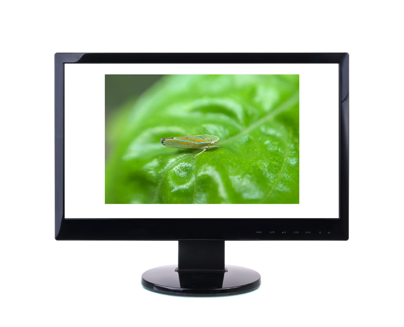 Load image into Gallery viewer, Horticulture Disorders ID, PowerPoint Downloads