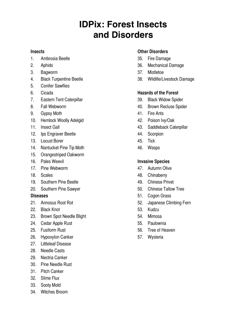 Load image into Gallery viewer, Forestry Insects and Disorders ID, PowerPoint Downloads