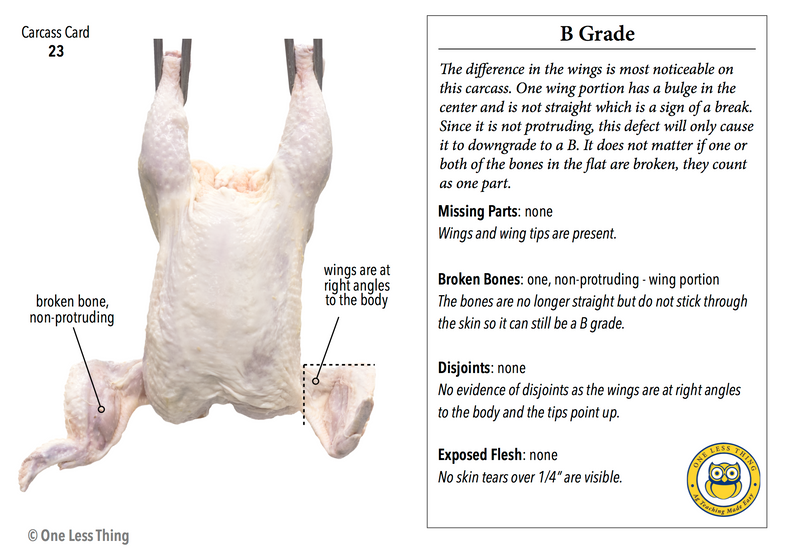Load image into Gallery viewer, Poultry Carcass Grading (Newly Revised), IDPix Cards