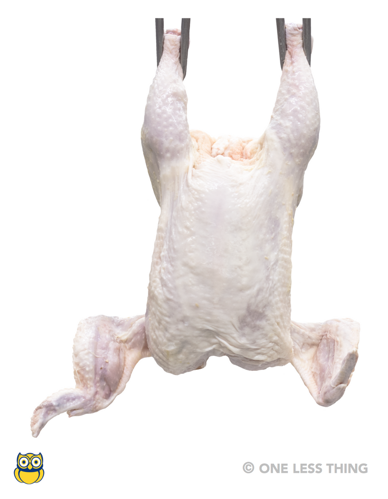 Load image into Gallery viewer, Poultry Carcass Grading (Newly Revised), IDPix Cards