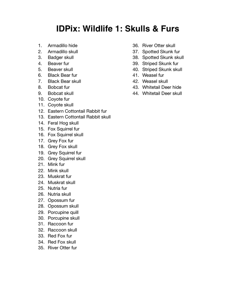 Load image into Gallery viewer, Wildlife 1: Skulls and Furs ID, IDPix Cards