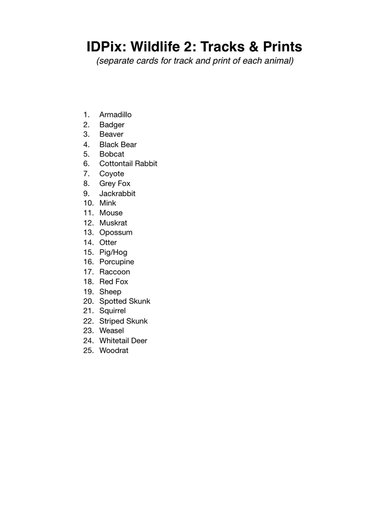 Load image into Gallery viewer, Wildlife 2: Tracks and Prints ID, PowerPoint Downloads