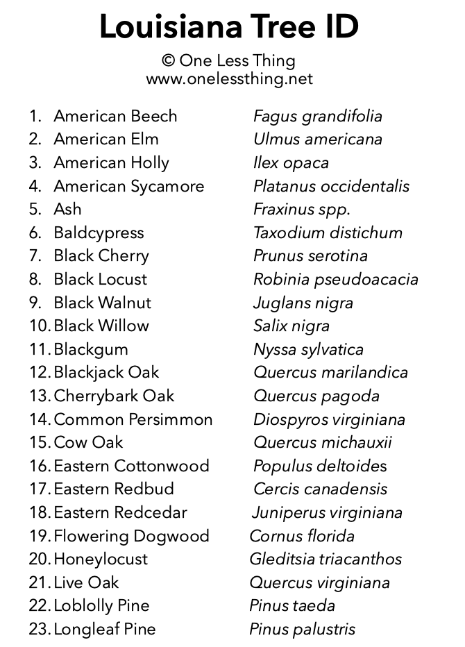 Load image into Gallery viewer, Louisiana Tree ID, IDPix Cards