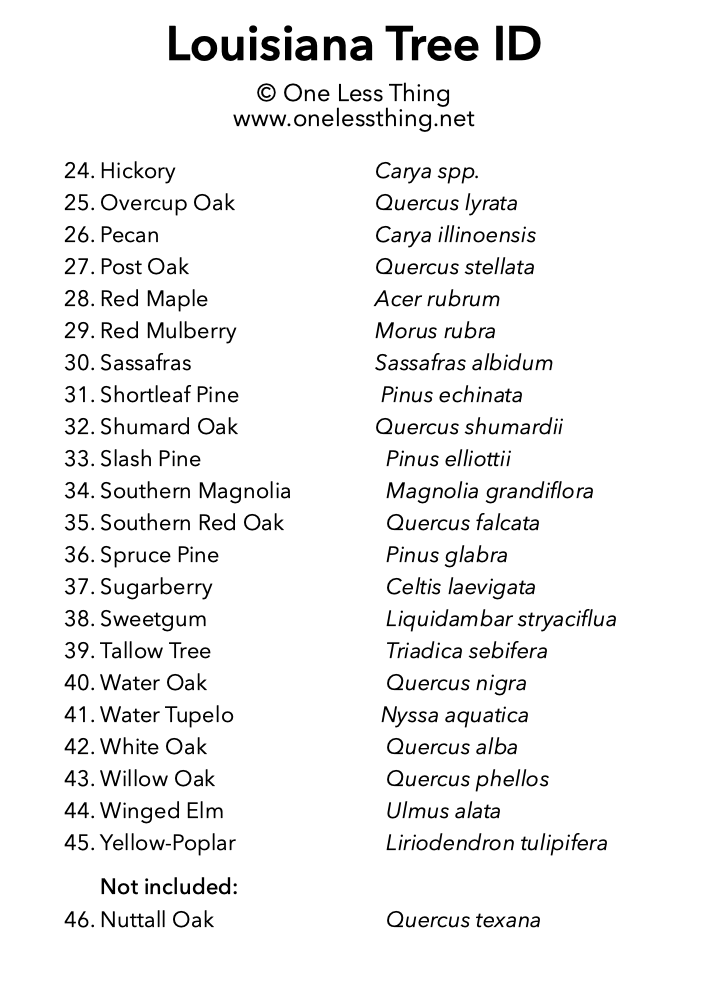 Load image into Gallery viewer, Louisiana Tree ID, IDPix Cards