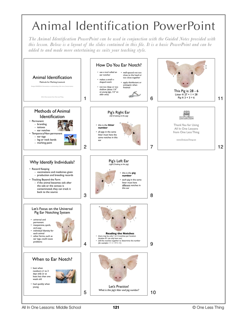 6-11 Animal ID Systems, Lesson Plan Download