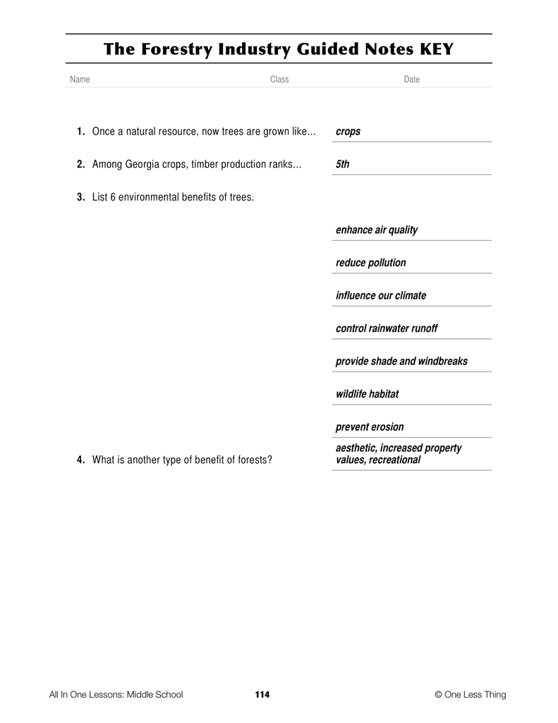 Load image into Gallery viewer, 8-11 The Forestry Industry, Lesson Plan Download