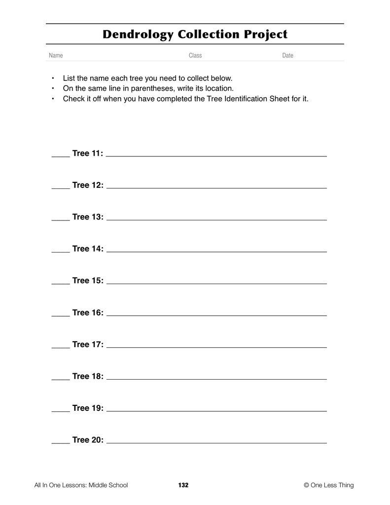 Load image into Gallery viewer, 8-13 Forest Dendrology, Lesson Plan Download