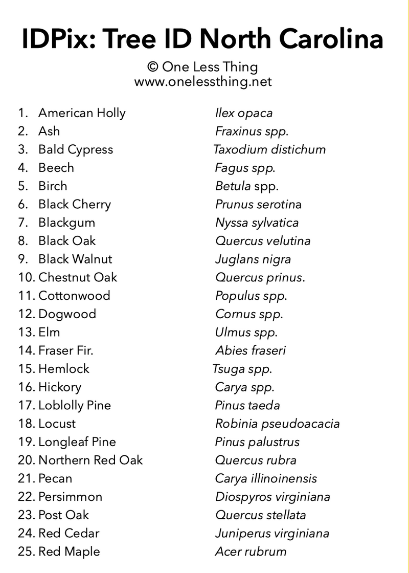 Load image into Gallery viewer, North Carolina Tree ID, IDPix Cards