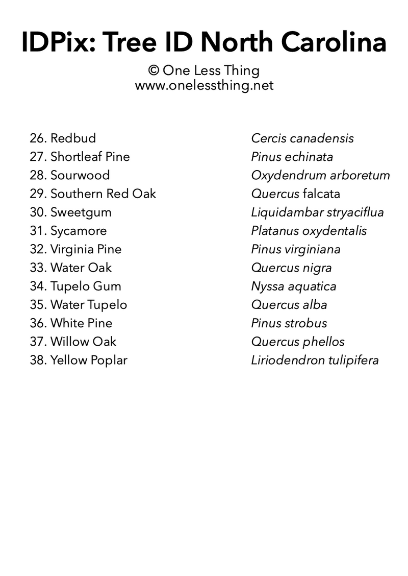 Load image into Gallery viewer, North Carolina Tree ID, IDPix Cards