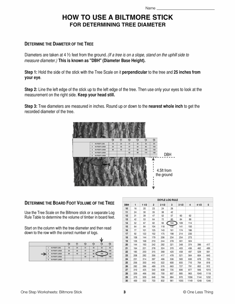 Load image into Gallery viewer, Biltmore Stick, One Step Worksheet Downloads
