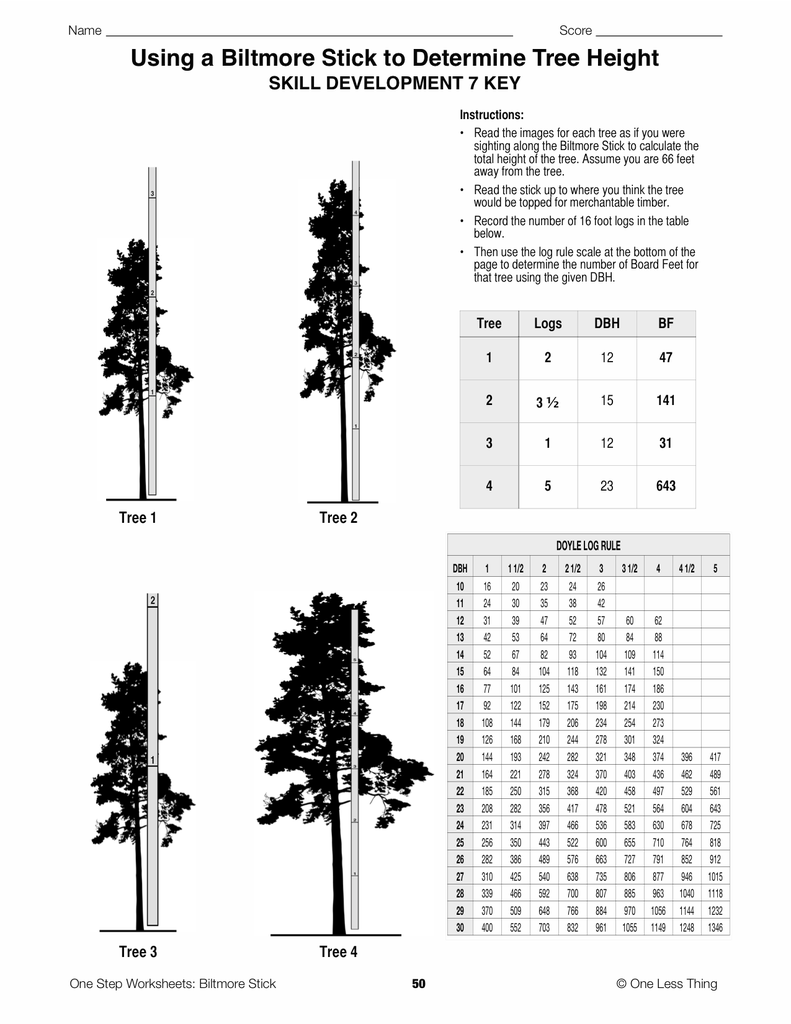 Biltmore Stick, One Step Worksheet Downloads