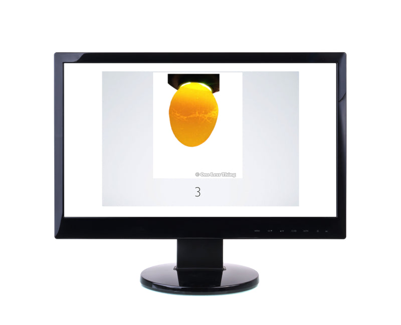 Load image into Gallery viewer, Interior Egg Grading, Poultry CDE Download