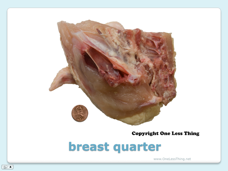 Load image into Gallery viewer, Poultry Judging Cuts ID, PowerPoint Downloads