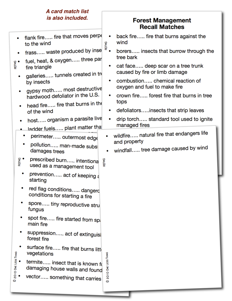 Load image into Gallery viewer, Forest Management, Recall Download Only