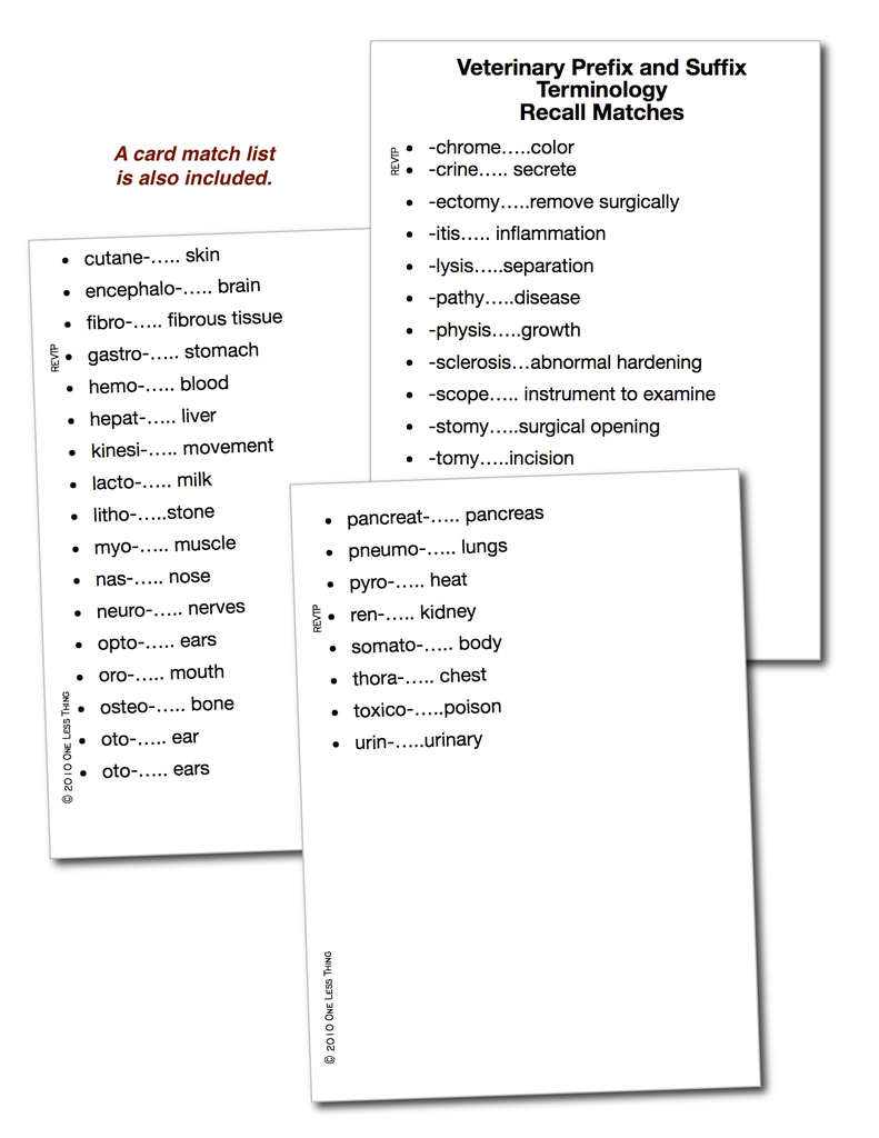 Vet Prefix and Suffix Terminology, Recall Download Only