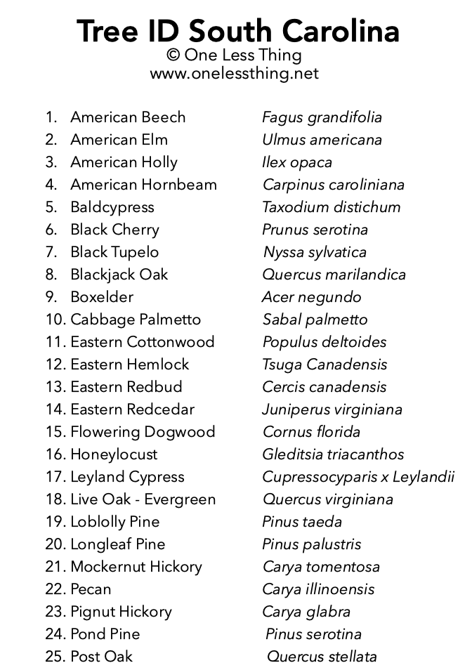 Load image into Gallery viewer, South Carolina Tree ID, IDPix Cards