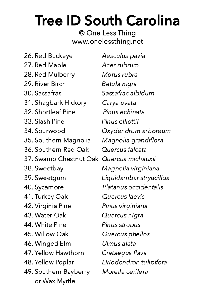 Load image into Gallery viewer, South Carolina Tree ID, IDPix Cards