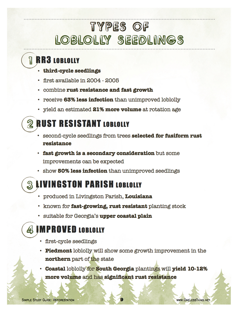 Load image into Gallery viewer, Reforestation, Simple Study Guide