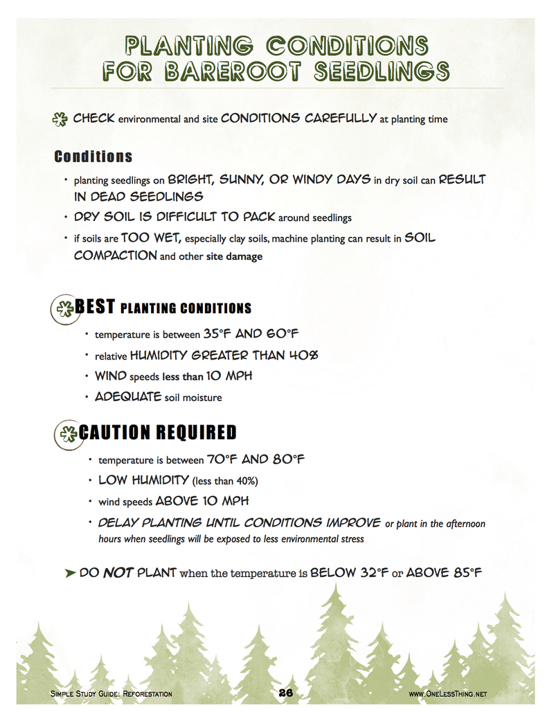 Load image into Gallery viewer, Reforestation, Simple Study Guide