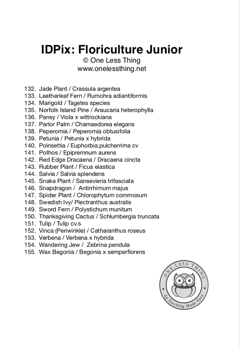 Load image into Gallery viewer, Floriculture ID Junior, IDPix Cards
