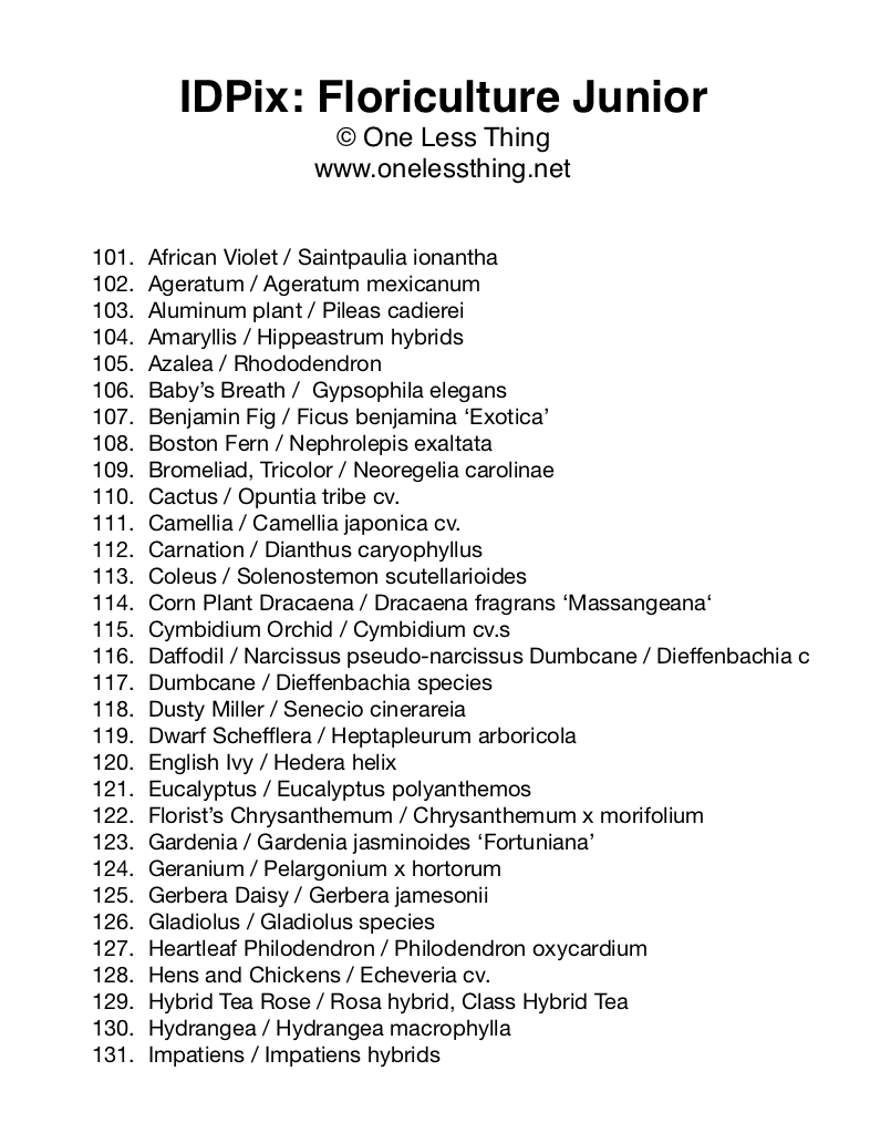 Load image into Gallery viewer, Floriculture ID Junior, IDPix Cards