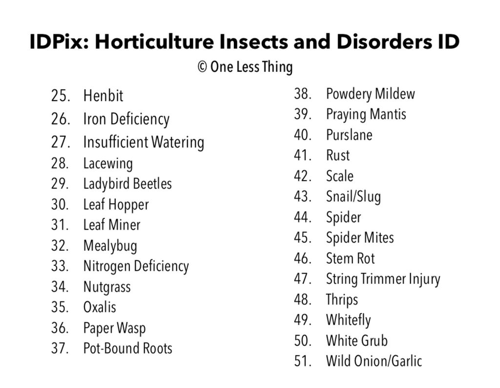 Horticulture Disorders ID, IDPix Cards