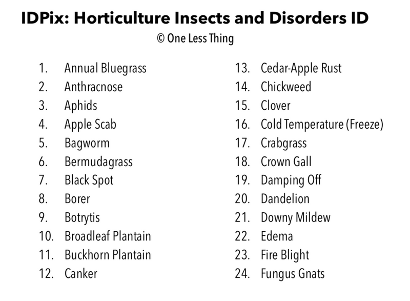 Load image into Gallery viewer, Horticulture Disorders ID, PowerPoint Downloads