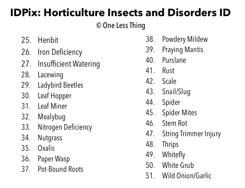 Horticulture Disorders ID, PowerPoint Downloads