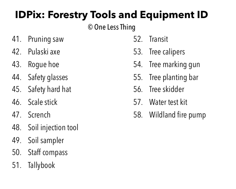 Forestry Equipment and Tools ID, PowerPoint Downloads