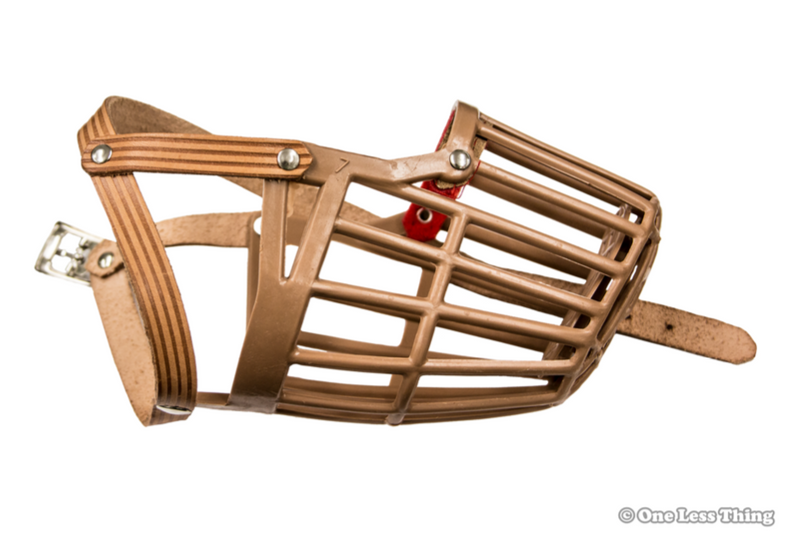 Load image into Gallery viewer, Veterinary Tools and Equipment ID, IDPix Cards