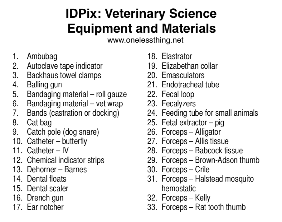Veterinary Tools and Equipment ID, PowerPoint Downloads