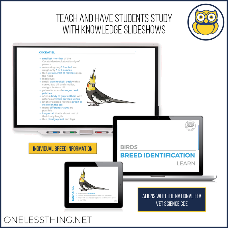 Load image into Gallery viewer, Small Animal Breed ID, PowerPoint Download