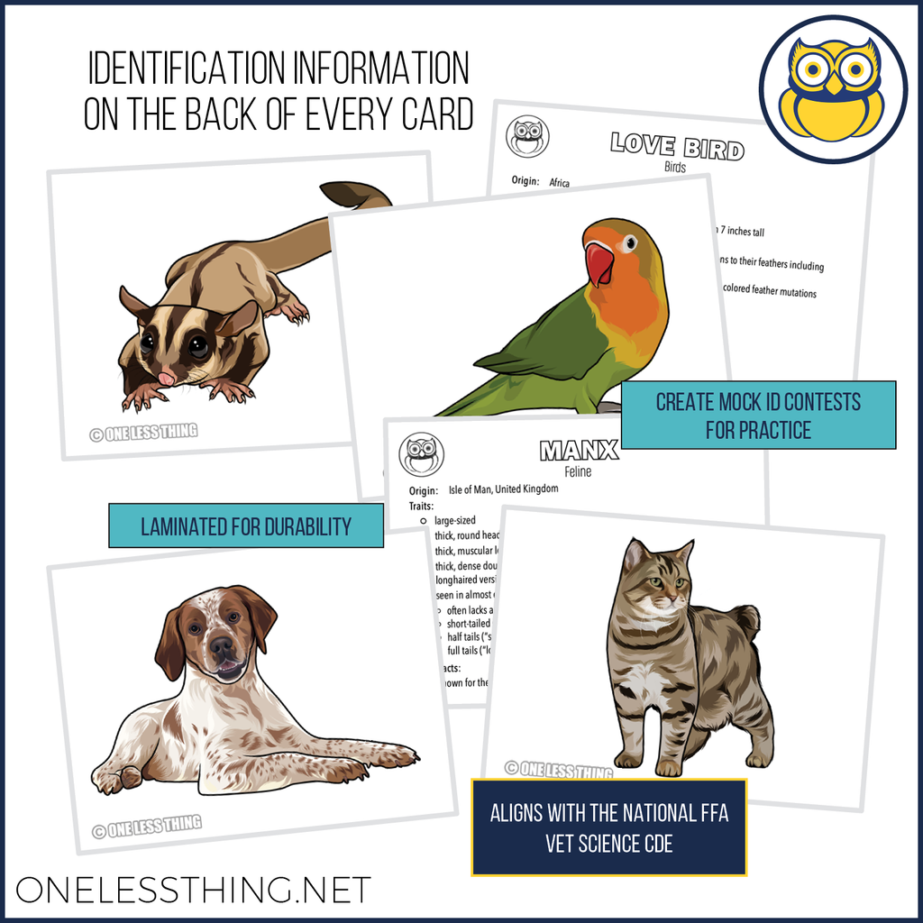 Small Animal Breed ID, Laminated Cards