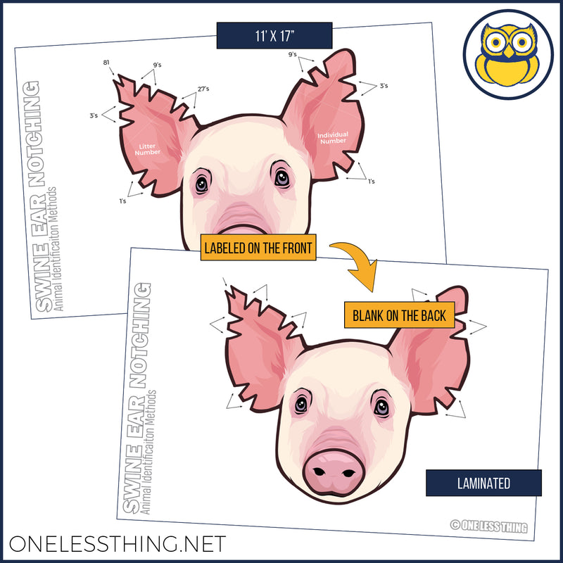 Load image into Gallery viewer, Animal Science Skills Posters, Set of 3